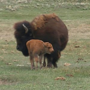 Meet your Posher, Eileen